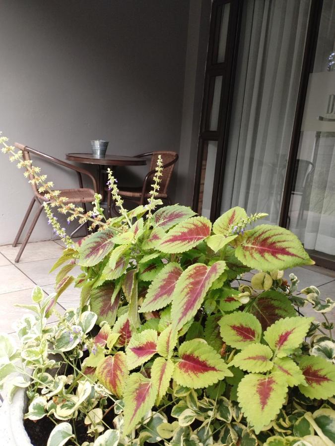 Ditsaleng Bed And Breakfast Vanderbijlpark Exterior foto